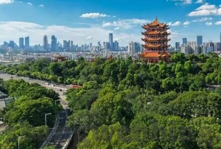麻豆视频吴梦梦-有了你，世界更精彩，麻豆视频吴梦梦的幕后故事