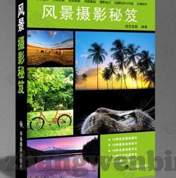 麻豆文化传媒app在线-细节的价值，探寻麻豆文化传媒App在线的魅力
