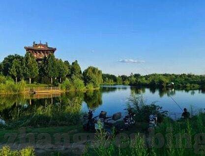 麻豆在视频网-麻豆在视频网的生动篇章，探索网络文化的魅力与边界