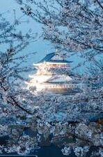 亚洲麻豆一二三四区av-东南亚文化与现实的多元面貌